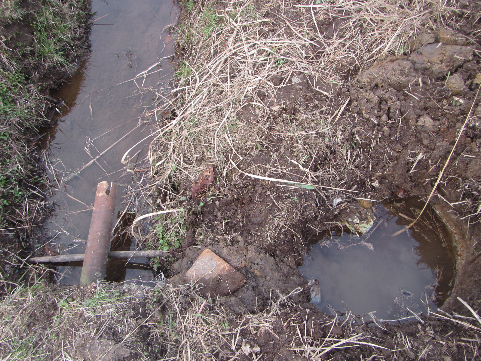 メダカ川　メダカが生息しやすいように、池を作り、水温を上げます