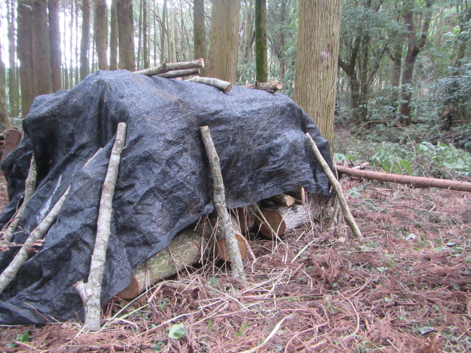 山に仮伏せ